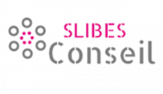 LOGO SLIBES CONSEIL